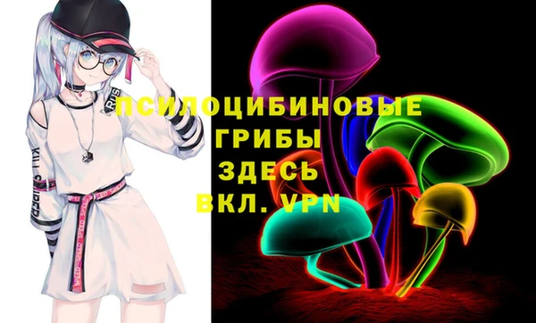 тгк Магас