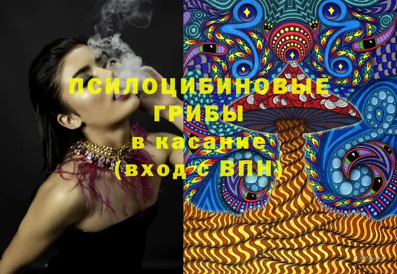 Псилоцибиновые грибы MAGIC MUSHROOMS  маркетплейс телеграм  Руза  купить наркотик 