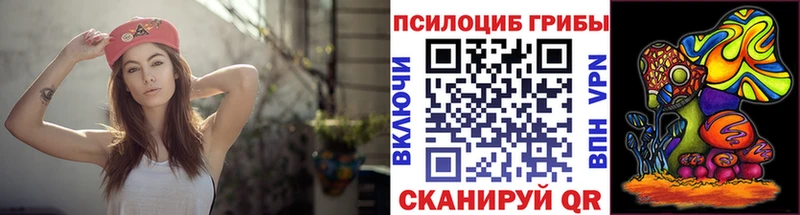Псилоцибиновые грибы Cubensis  как найти наркотики  Руза 